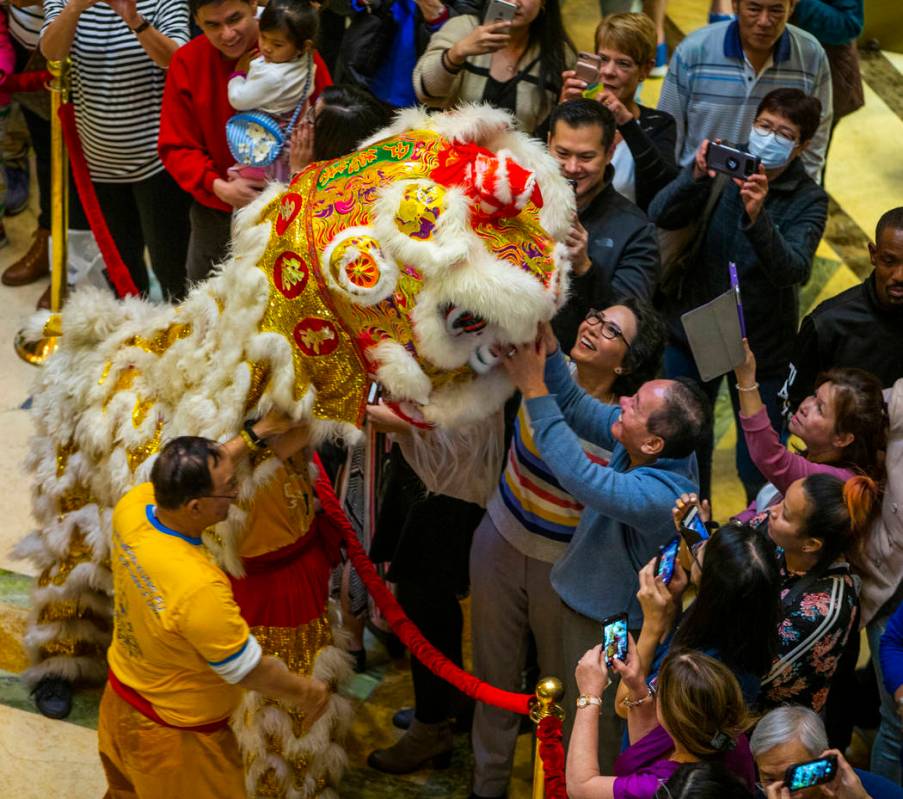 People interact with a lion as dancers from the Yau Kung Moon dance troupe in San Francisco per ...