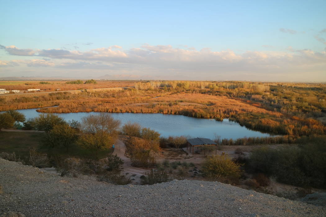 The Yuma East Wetlands offers a natural habitat for birds and wildlife as well as a network of ...