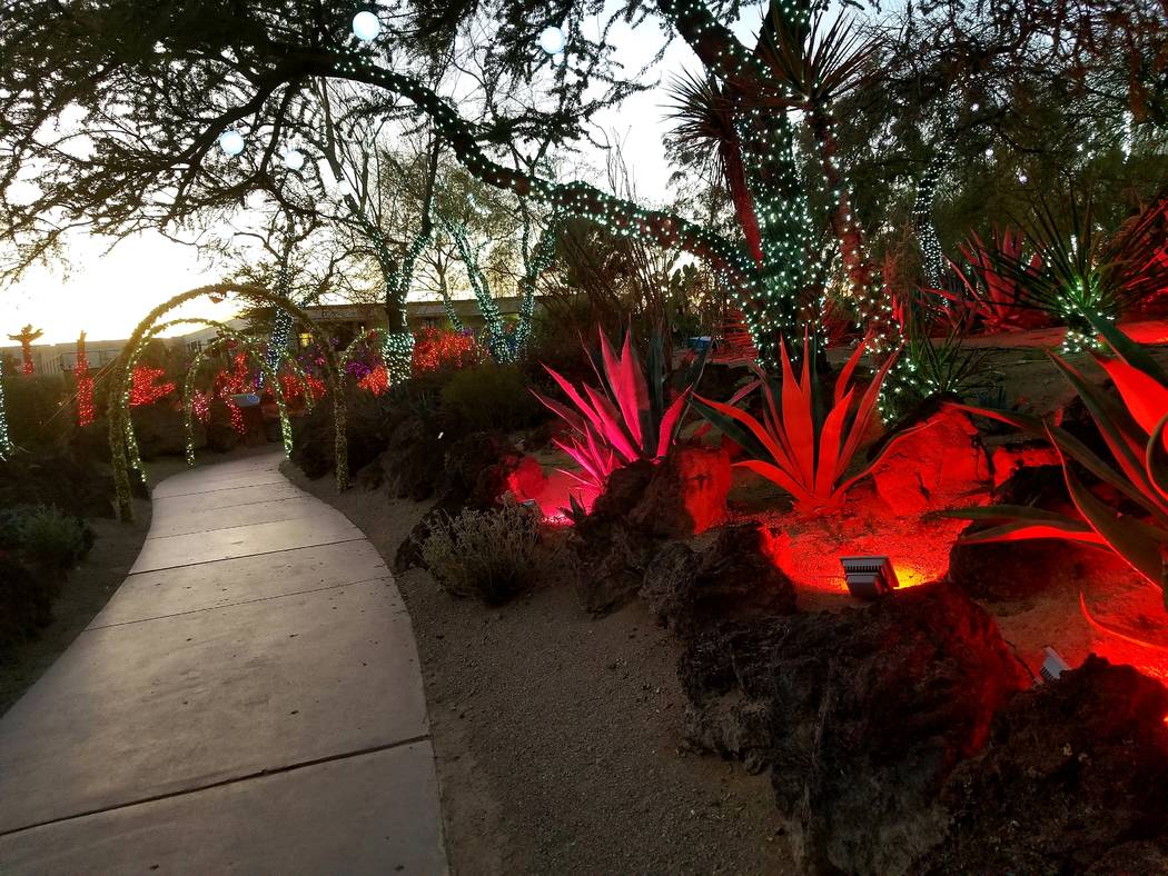 Ethel M cactus garden's "Lights of Love" display is seen at sunset. (Natalie Burt)