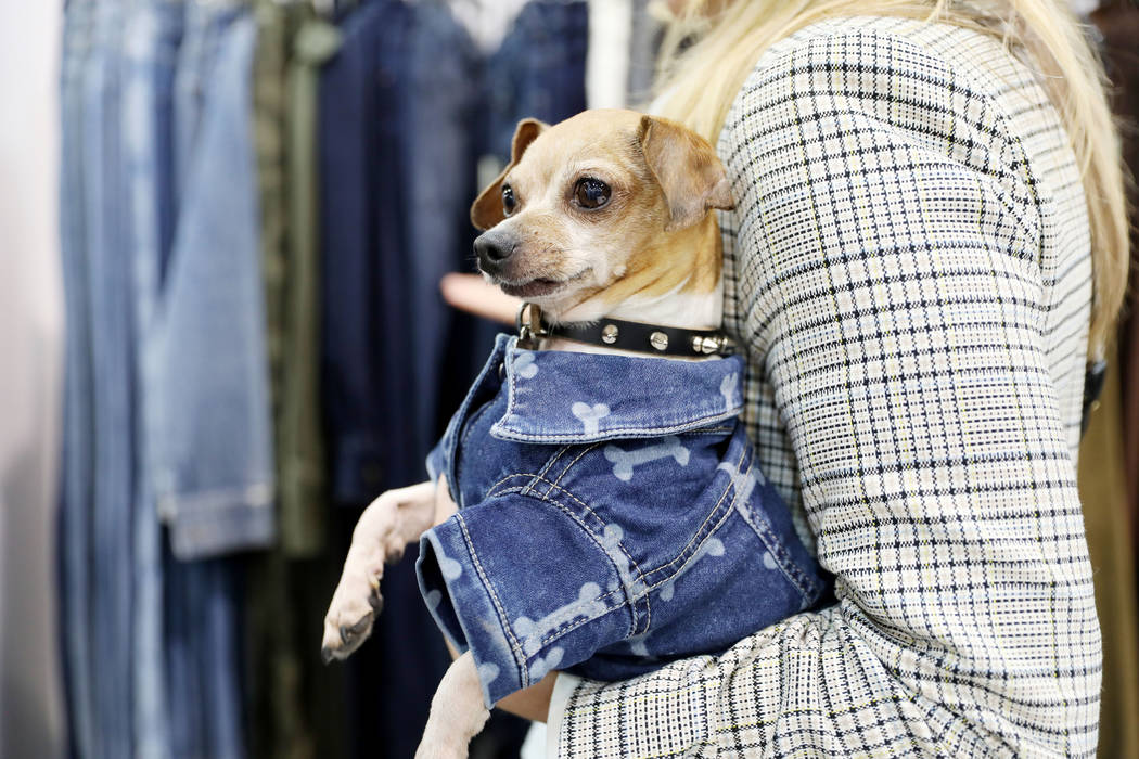 Shorty is wearing the Fido Canine Trucker Polka Pawat, a doggy jean jacket, at DL1961's booth a ...