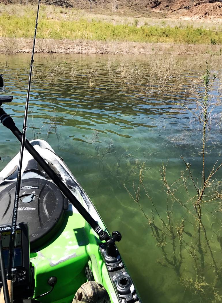 On days with little to no wind, ultra-clear water conditions provide anglers with a chance to s ...