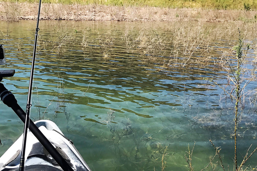 On days with little to no wind, ultra-clear water conditions provide anglers with a chance to s ...