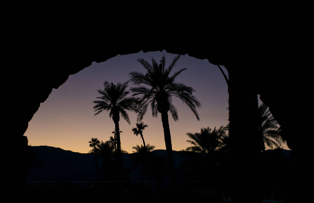 Palm trees at The Inn at Death Valley in Death Valley National Park, Calif, on Tuesday, Jan. 23 ...