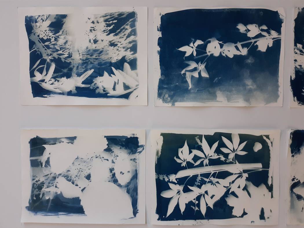 Equipo Academy Middle School students created photograms for the “Photography and the Environ ...