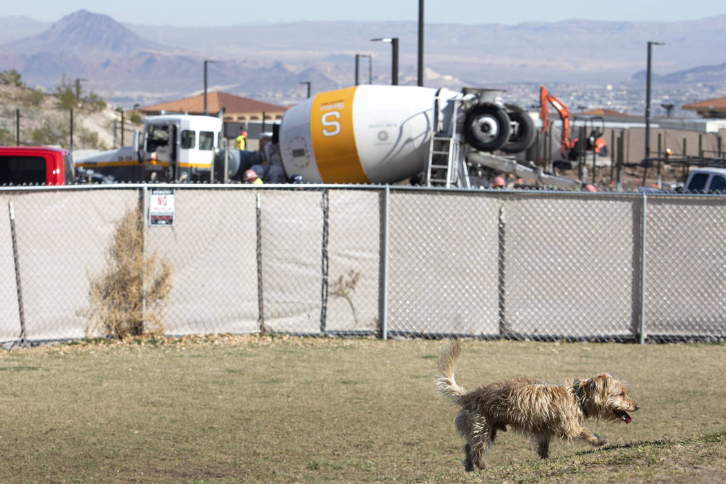 Scooter plays at the temporary dog park while construction takes place in the background at Hid ...