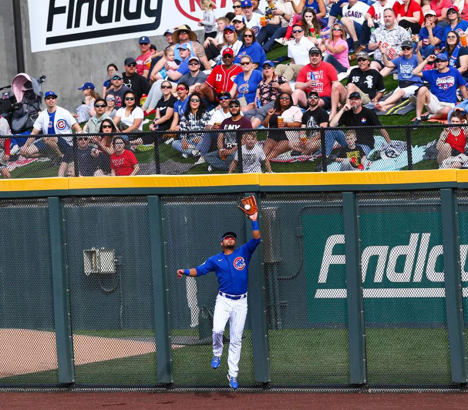 Chicago Cubs' Noel Cuevas catches a fly ball from Cincinnati Reds' Mike Moustakas, not pictured ...