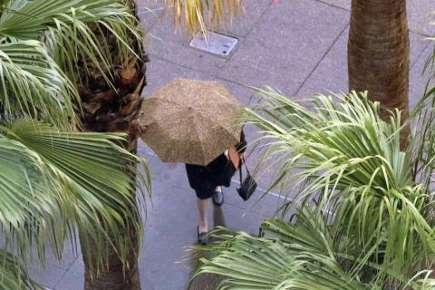A woman holds un umbrella to protect herself from rain as she walks along Lewis Avenue on Tuesd ...