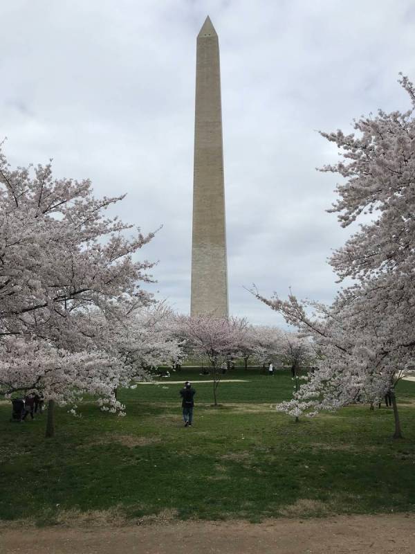 Despite fears of the coronavirus, people were running, cycling and walking through D.C.'s ch ...