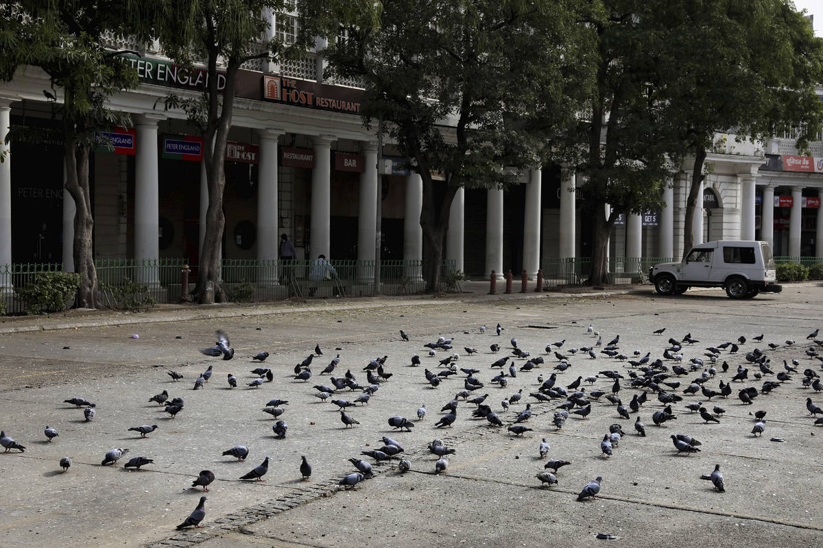 Pigeons at a parking lot on the first day of a lockdown amid concerns over the spread of Corona ...