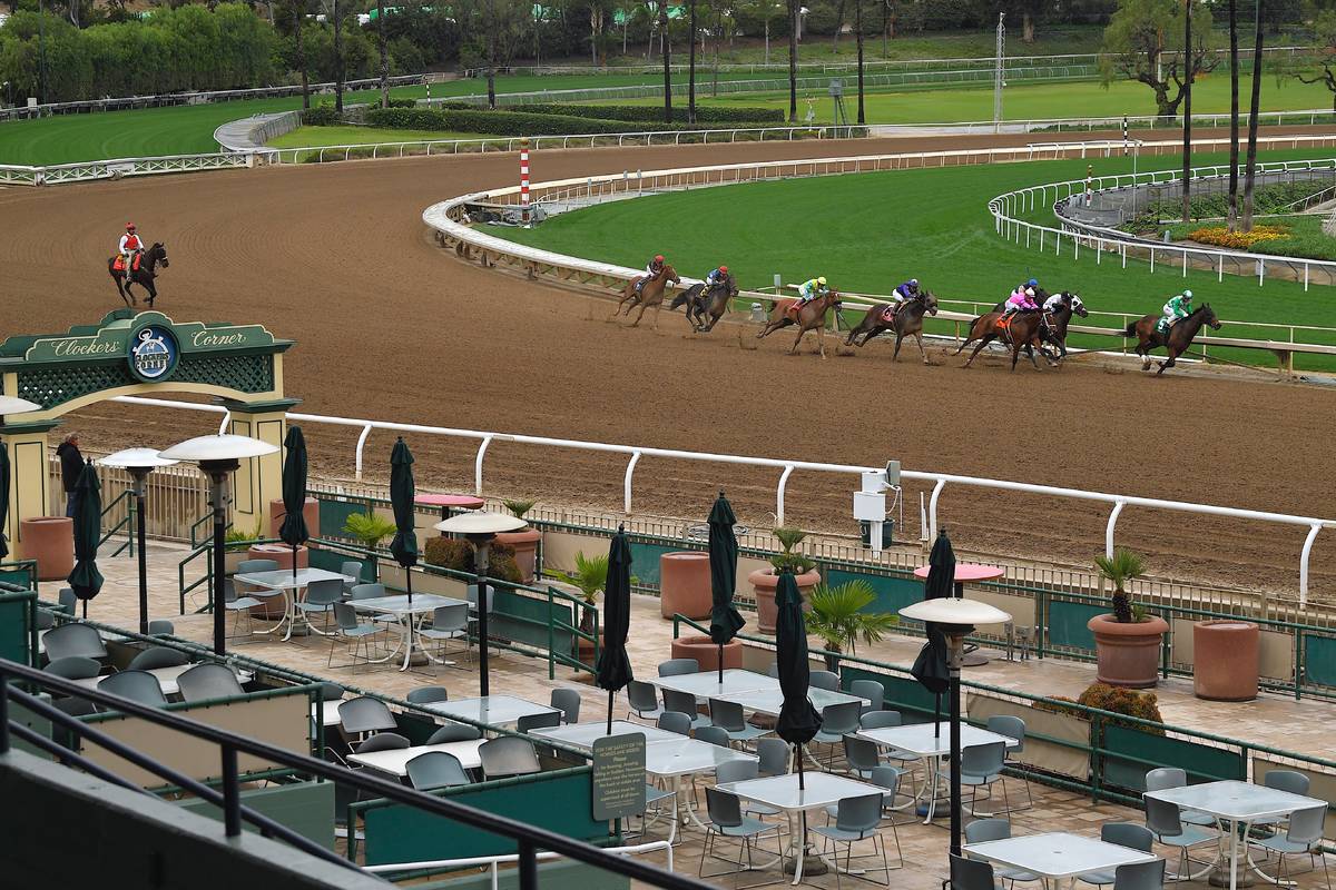 Horses run in the second race at Santa Anita Park to empty stands Saturday, March 14, 2020, in ...