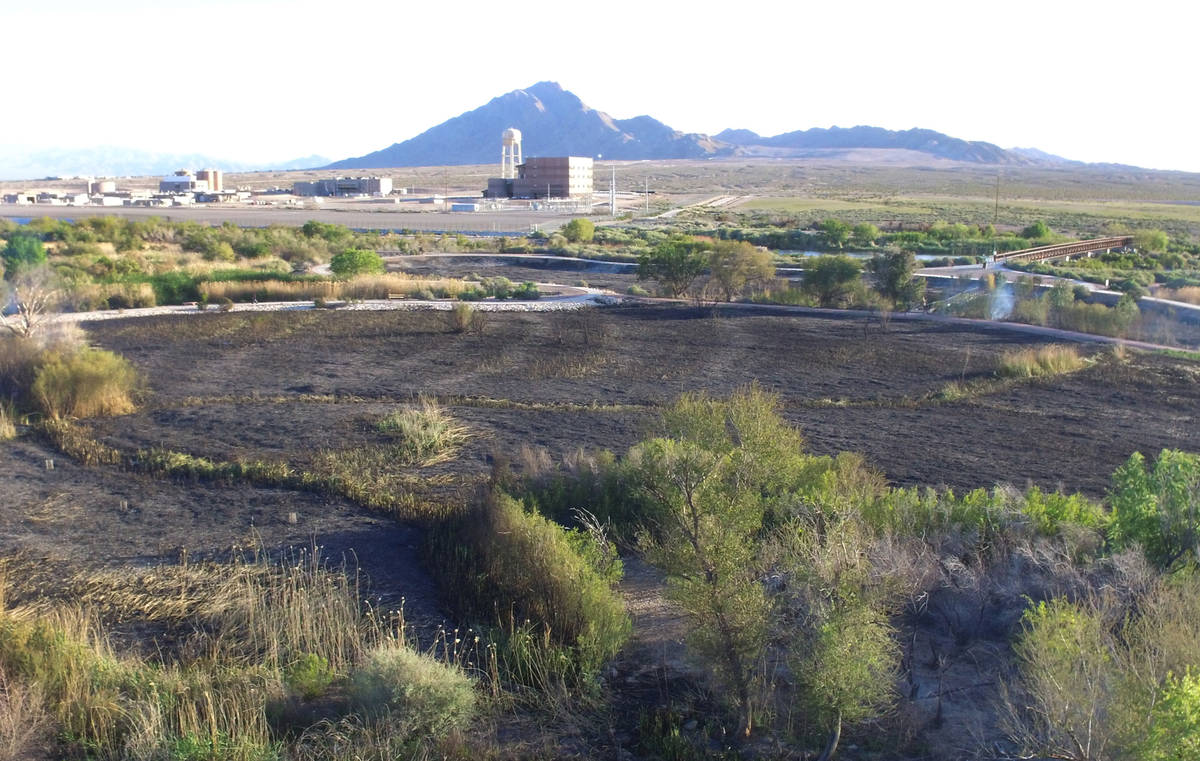 Burned-out areas at Wetlands Park are seen on Thursday, April 2, 2020, in Las Vegas. (Bizuayehu ...