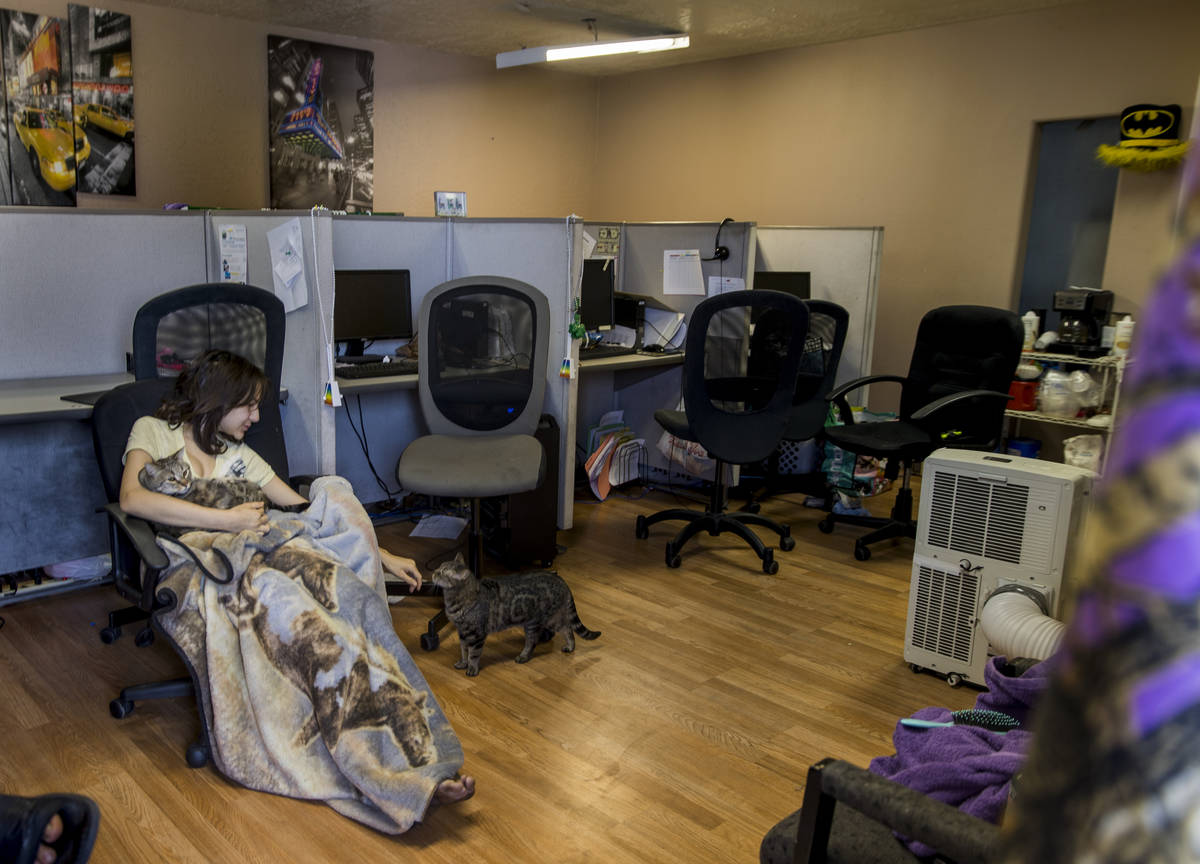 Aubrie Heenan, 17, plays with her cats in a small office space she and her family of five are t ...