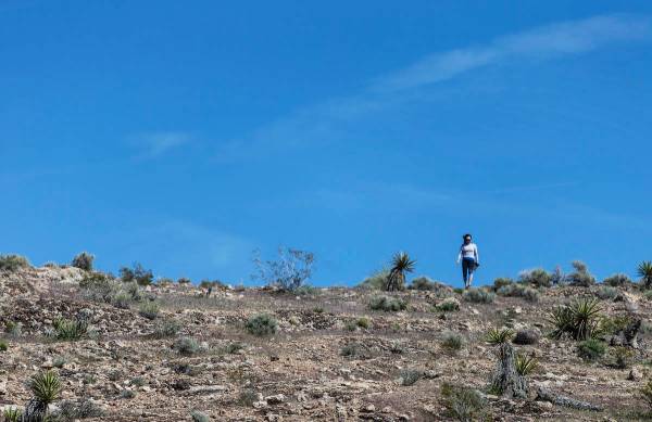 A hiker has the ridge all to herself near Red Rock Canyon National Conservation Area on Saturda ...
