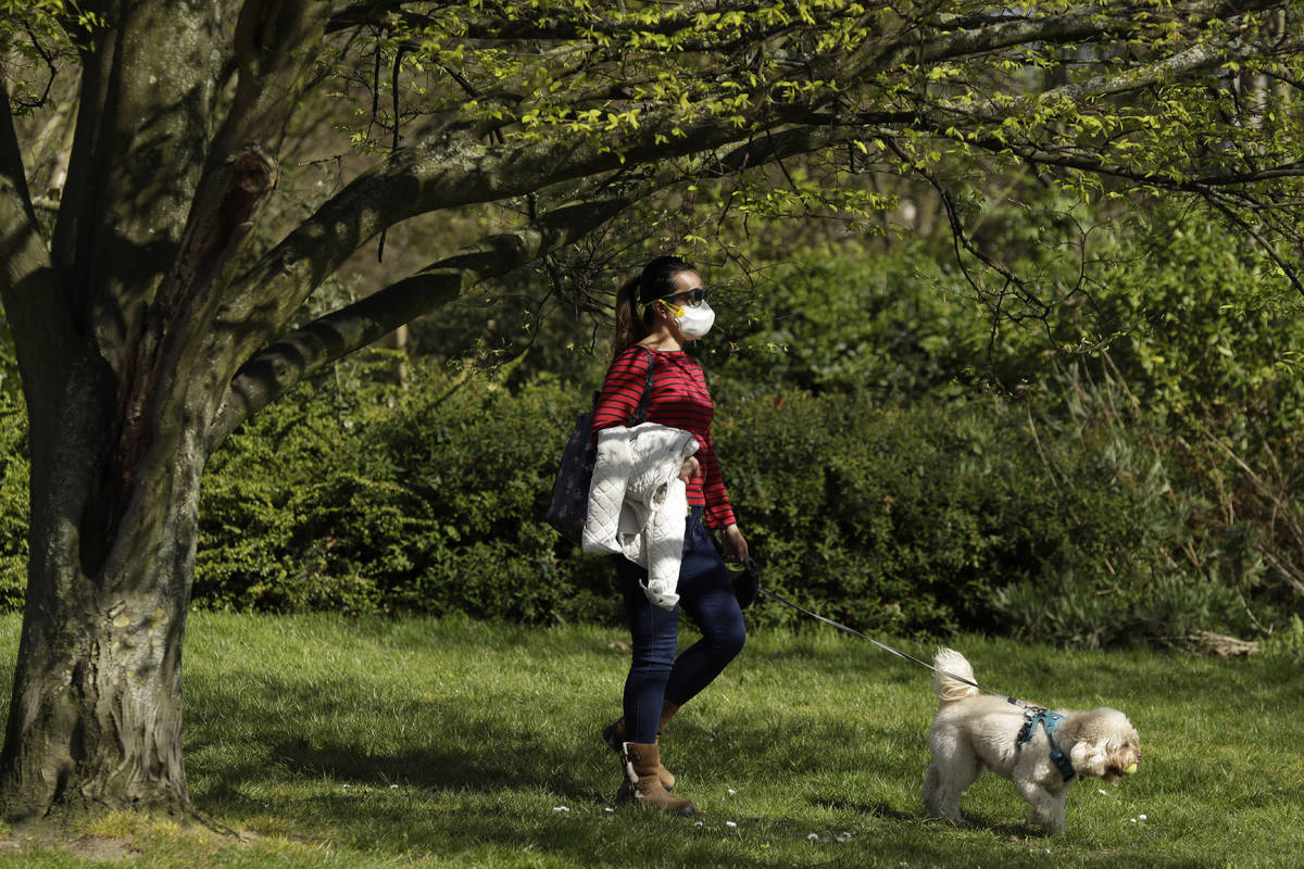 A dog walker wears a face mask in Regent's Park, London, as London's parks remain open with the ...