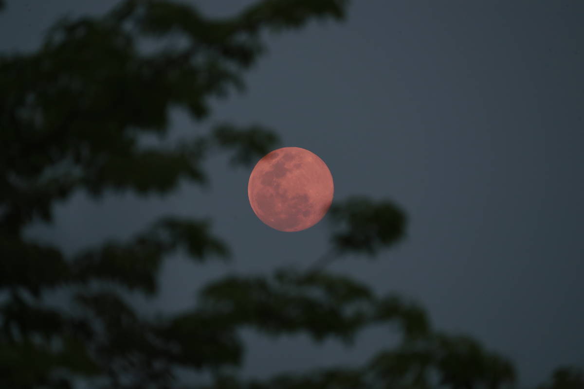 A view of the 'super pink moon', in Naypyitaw, Myanmar, Tuesday, April 7, 2020. (AP Photo/Aung ...