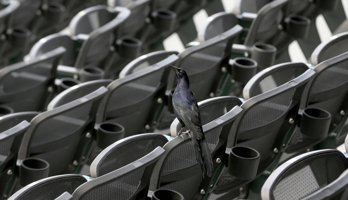 Las Vegas Ballpark in Las Vegas, Thursday, April 9, 2020. (Erik Verduzco / Las Vegas Review-Jou ...