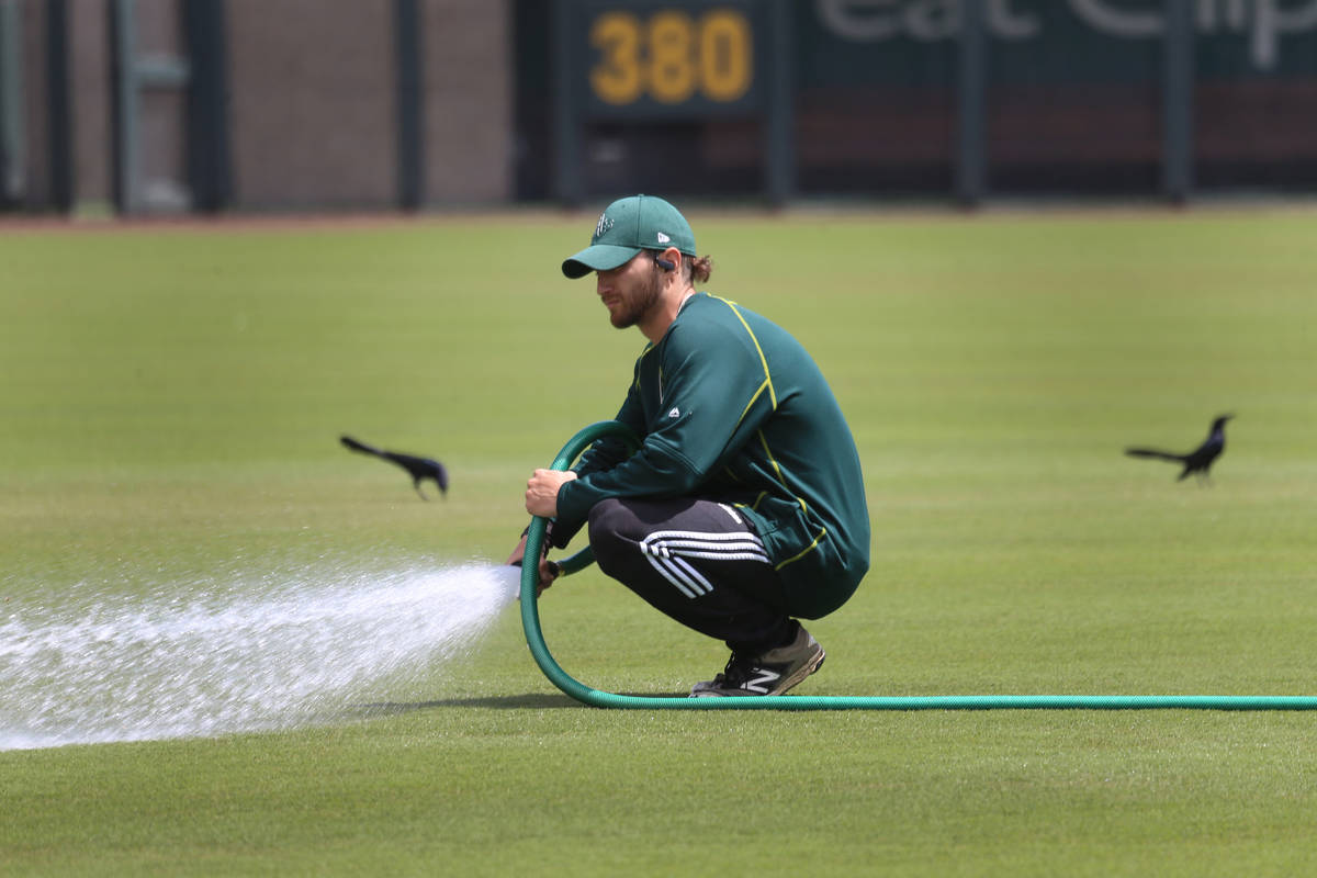 Groundskeeper Logan Mace sprays water on the field at the Las Vegas Ballpark in Las Vegas, Thur ...