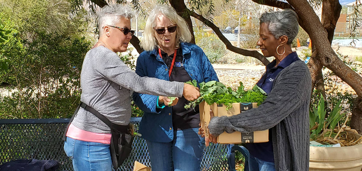 Horticulture specialist Angela O'Callaghan, center, works with Tricia Braxton, right, and Nicol ...