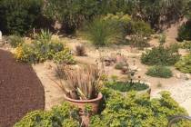 Pots give gardeners the option to select the type of soil they want for the type of plant they ...