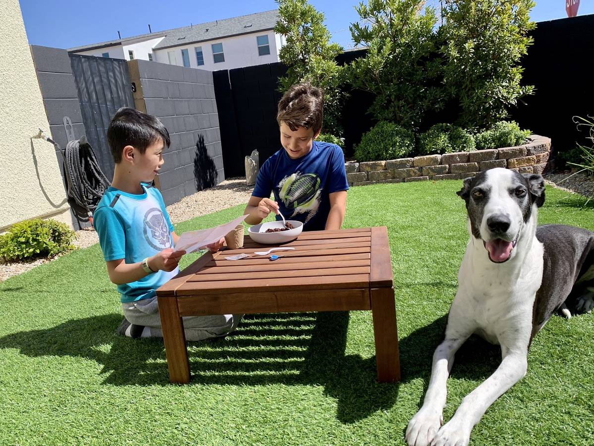 Inspirada residents, Taosies and Artyom Acosta with their Great Dane, Echo, spend time outside. ...