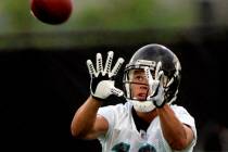 In this Saturday, July 26, 2008 photo, Jacksonville Jaguars receiver Ryan Hoag catches a pass ...