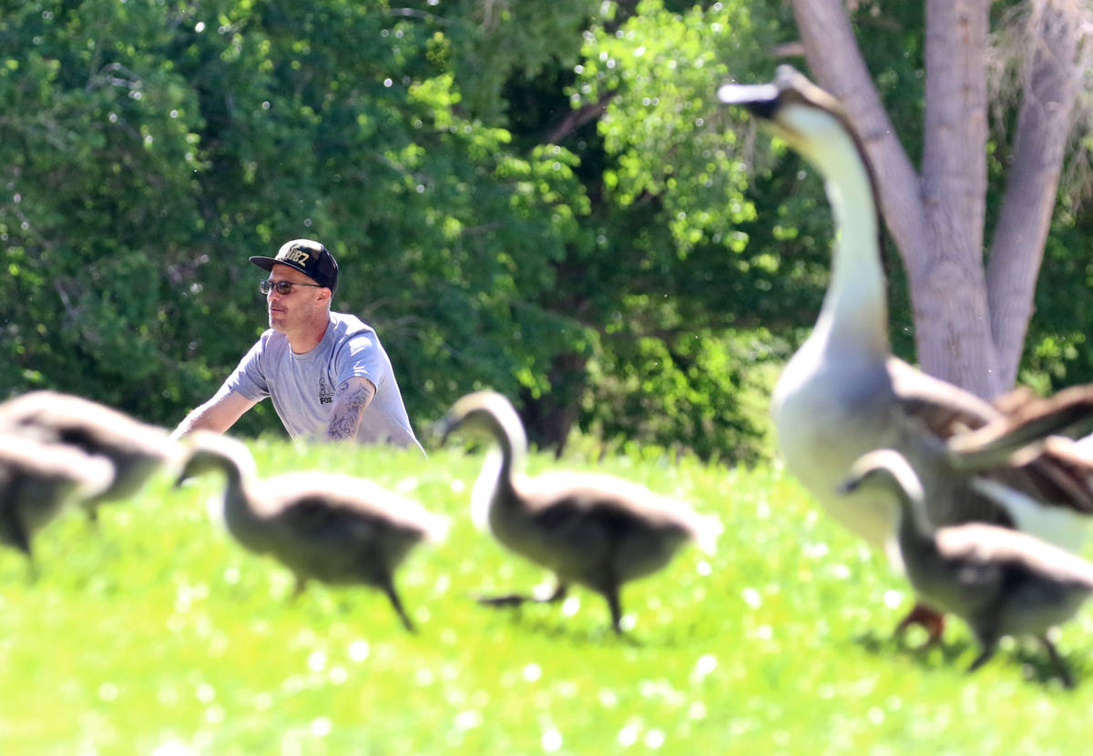 A man rides his bike at Floyd Lamb Park Tuesday, April 28, 2020, in Las Vegas. Temperatures wil ...