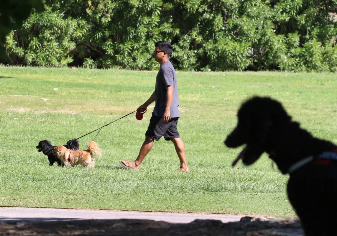 Chadly Dingle walks his dogs, Luna and Vader, at Floyd Lamb Park Tuesday, April 28, 2020, in La ...