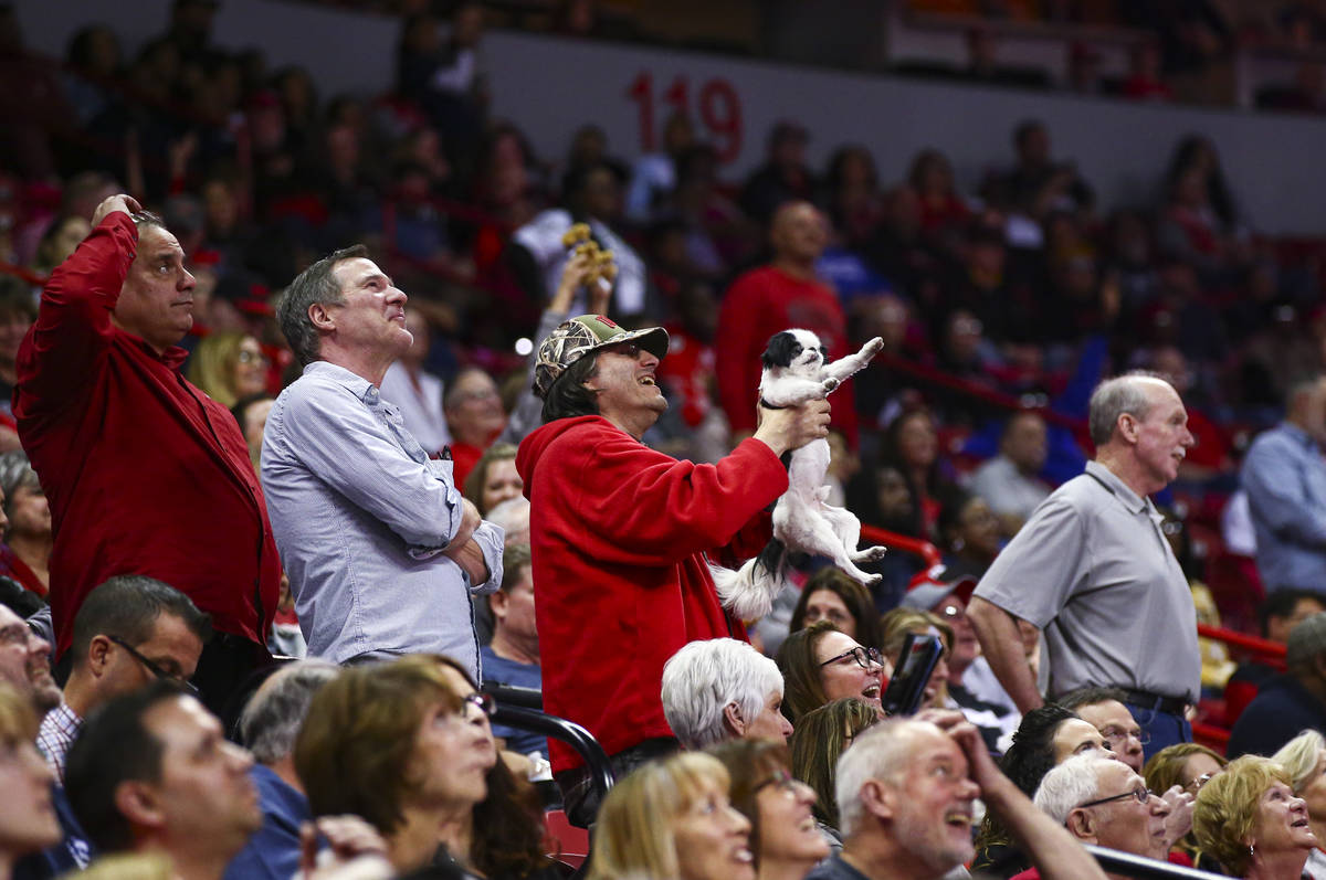 A UNLV fan raises up their dog for the "Simba cam" during the second half of a basket ...