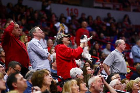 A UNLV fan raises up their dog for the "Simba cam" during the second half of a basket ...