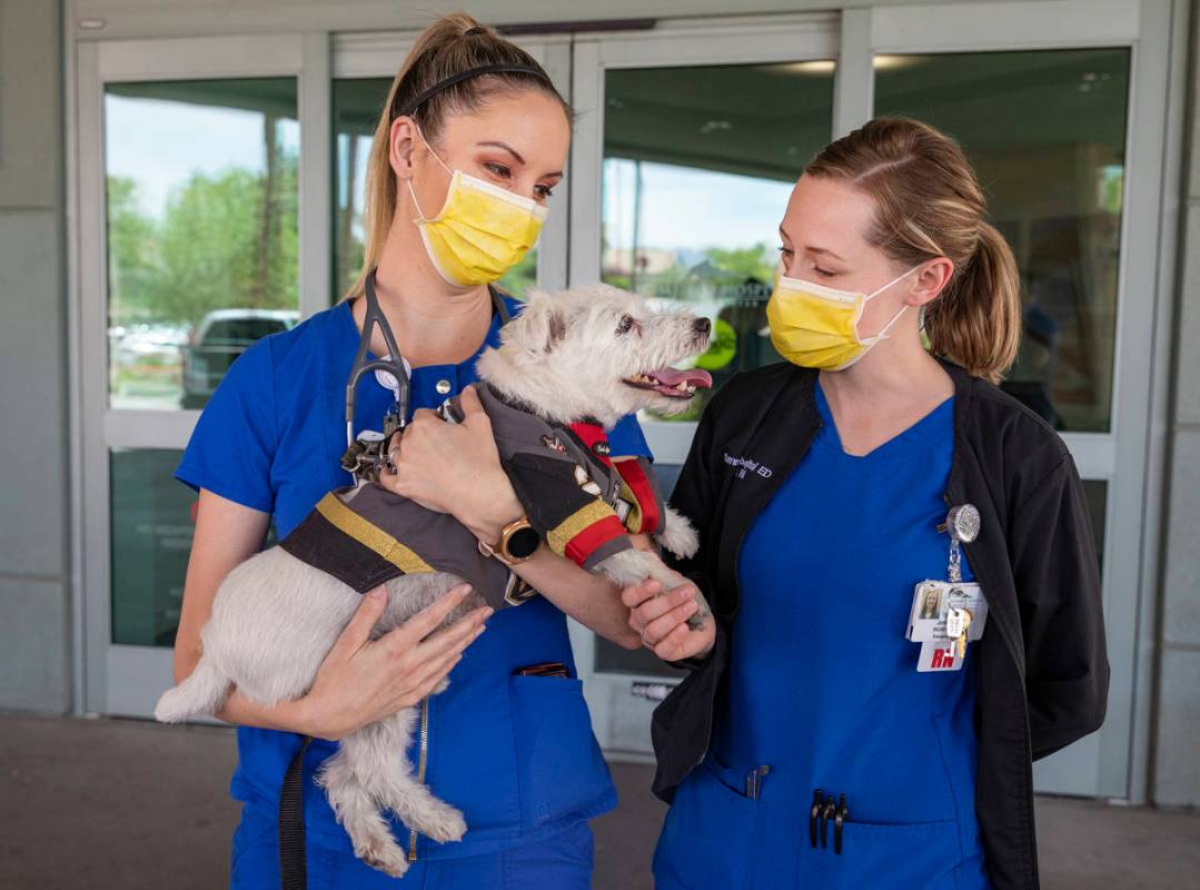 Emergency room registered nurses Kelsey Balton, left, and Jordon Connell, hold Bark-Andre Furry ...