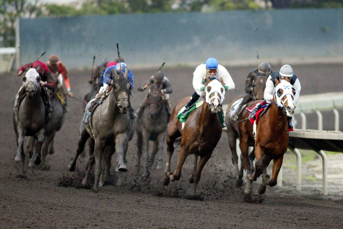 Standard Setter, far right, with jockey Roberto Gonzalez, leads as the field makes the turn for ...