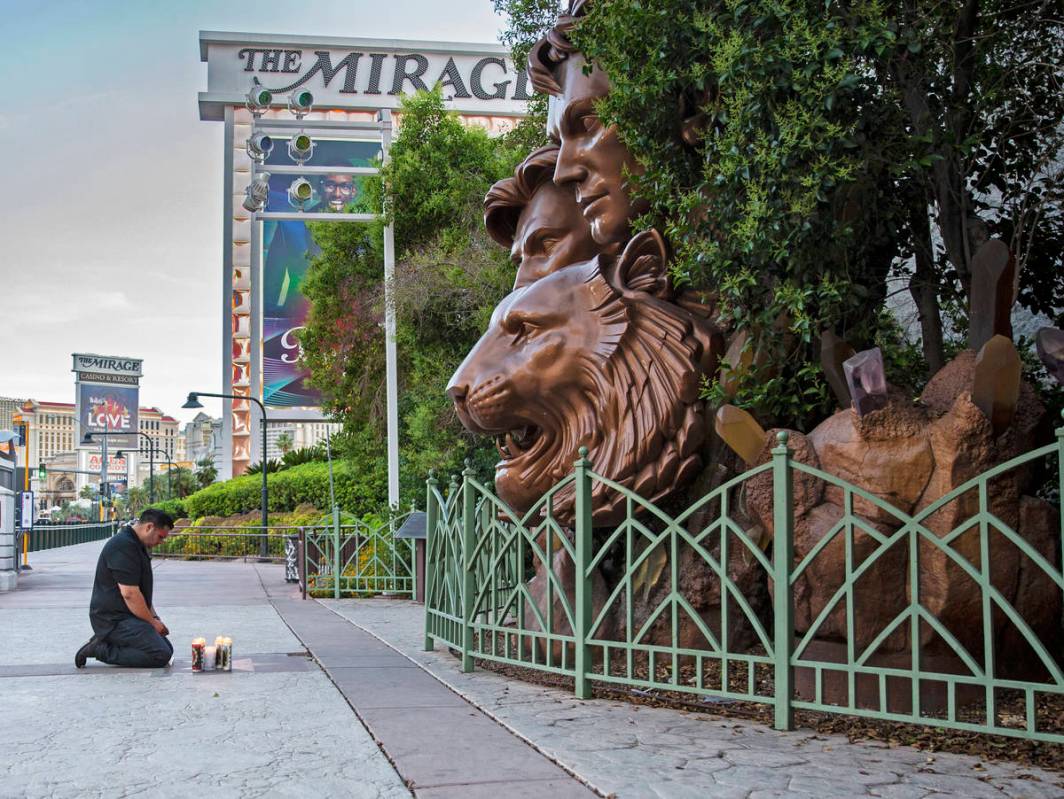 Zar Zanganeh, a friend of Roy Horn, prays next to candles he placed in front of a statue of Sie ...