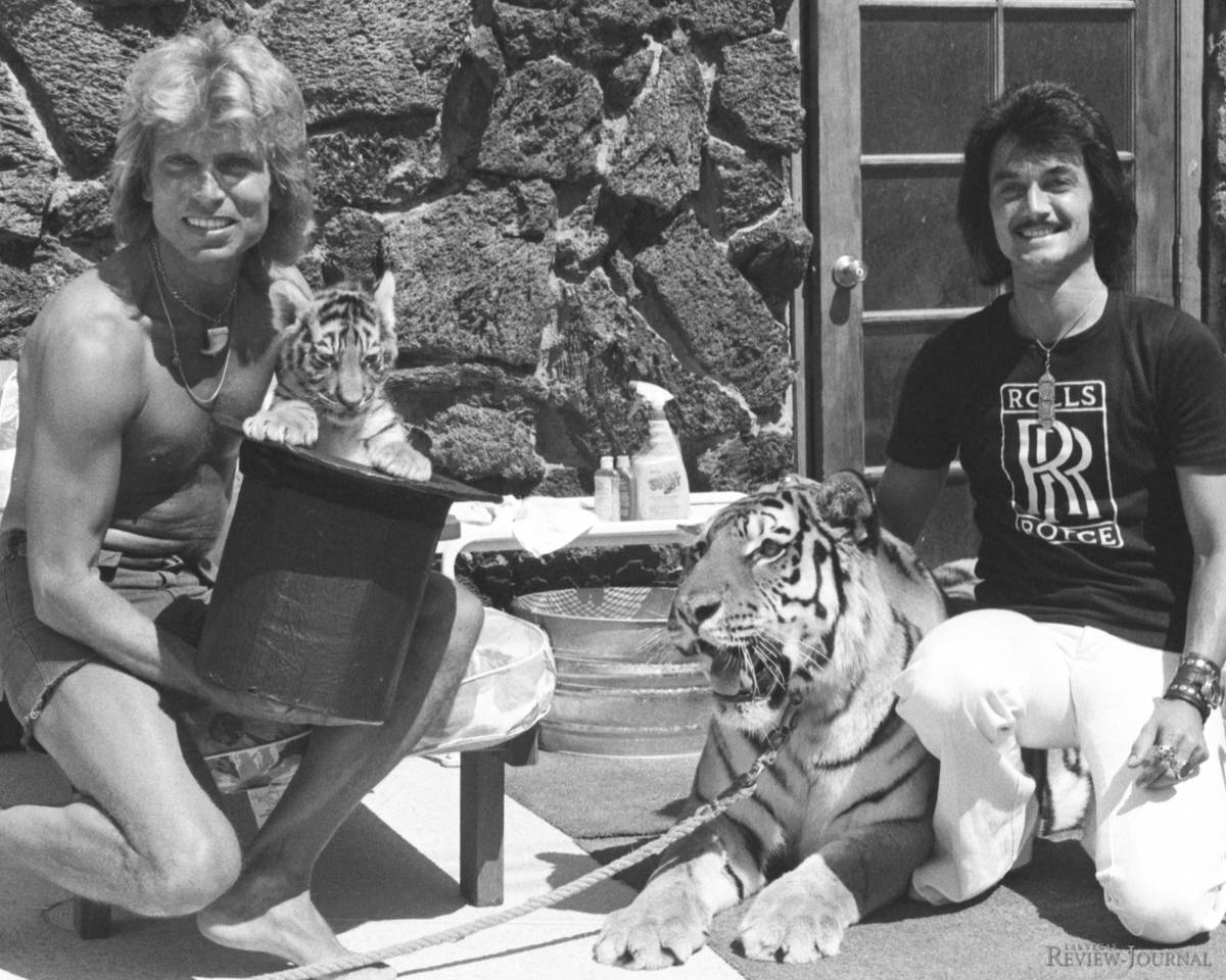 The three weeks old tiger Magic makes a public debut with Siegfried Fischbacher and Roy Uwe Lud ...