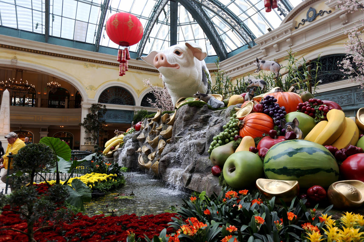 A 12-foot-high pig is part of the Year of the Pig display for Chinese New Year at the Bellagio ...