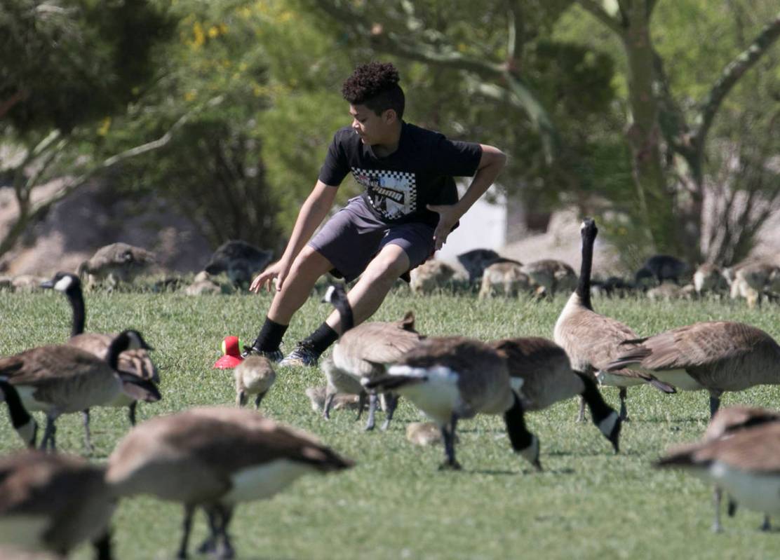 Jadden Joseph, 14, works out at Cornerstone Park on Tuesday, May 19, 2020, in Henderson. (Bizua ...