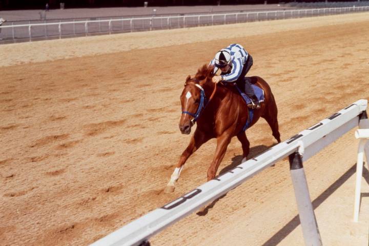 Ron Turcotte rides Secretariat on a practice run for the Belmont Stakes in Elmont, N.Y., June 8 ...