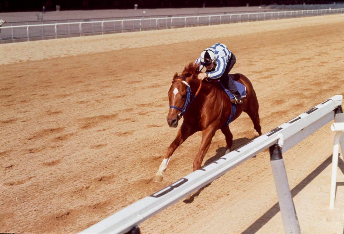Ron Turcotte rides Secretariat on a practice run for the Belmont Stakes in Elmont, N.Y., June 8 ...