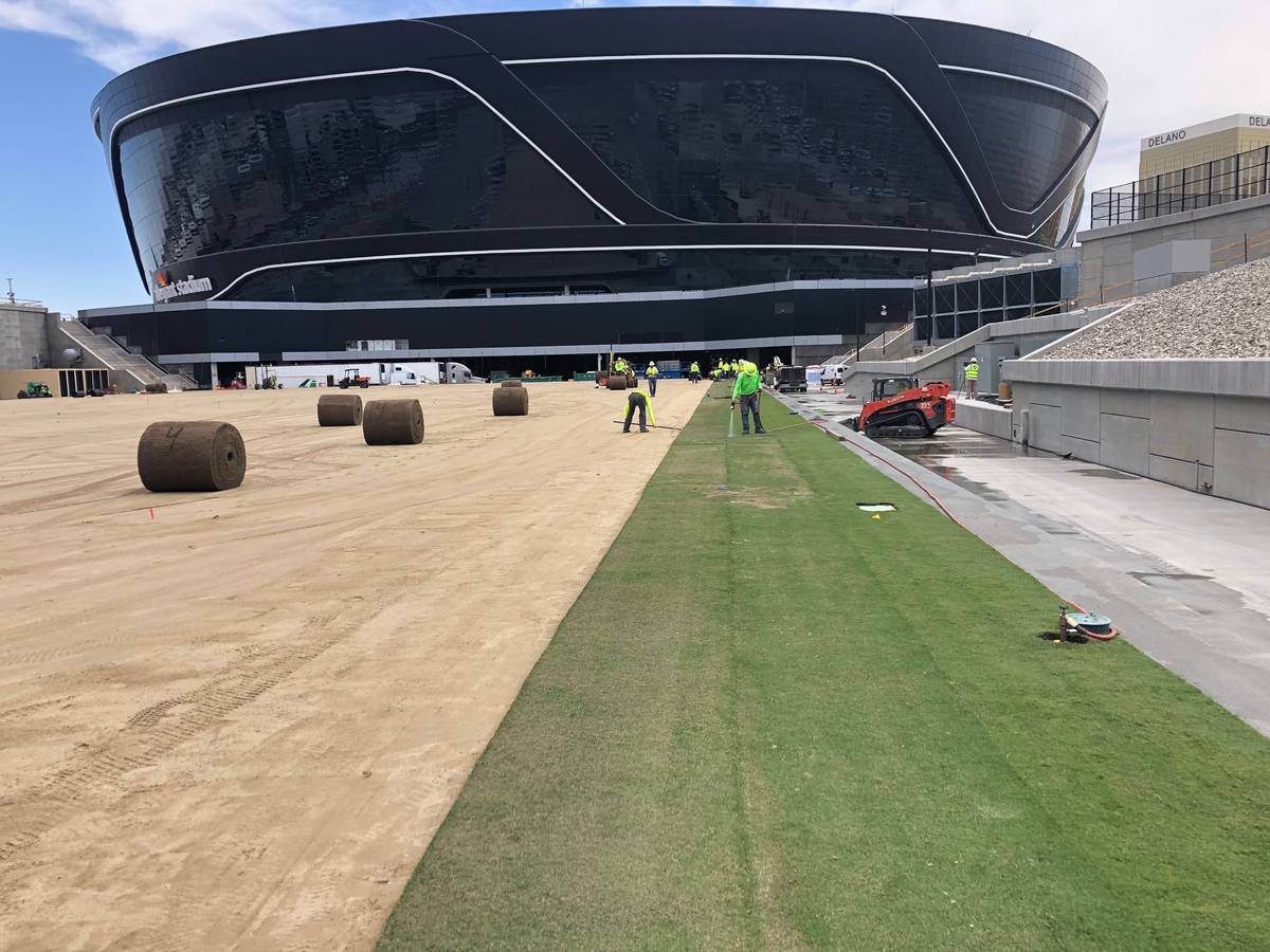 Sod installation began Wednesday, May 13, 2020, on the field tray at the Las Vegas Raiders Alle ...