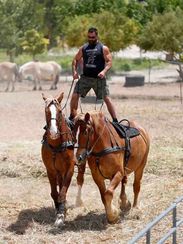 Gladius The Show co-owner Erik Martonovich rides on two horses, Cannon and Thunder during a pra ...