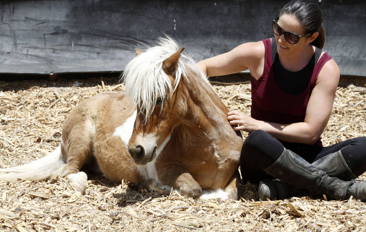 Gladius The Show co-owner Alethea Shelton sits with Spirit, a miniature horse, during their tra ...