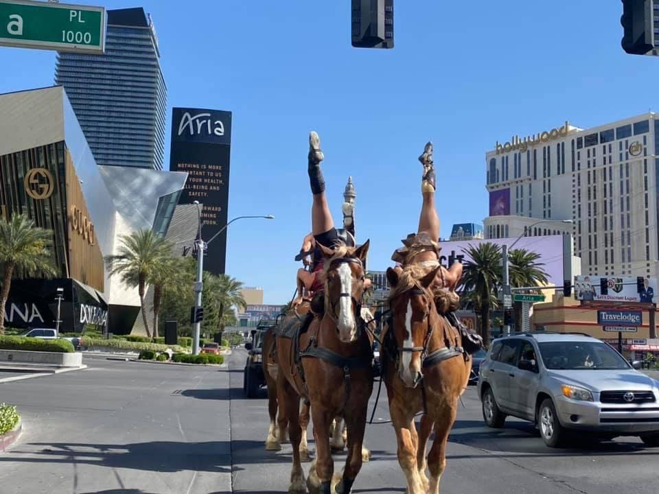 Performers from Gladius The Show ride their horses down the Strip and perform acrobatic stunts ...