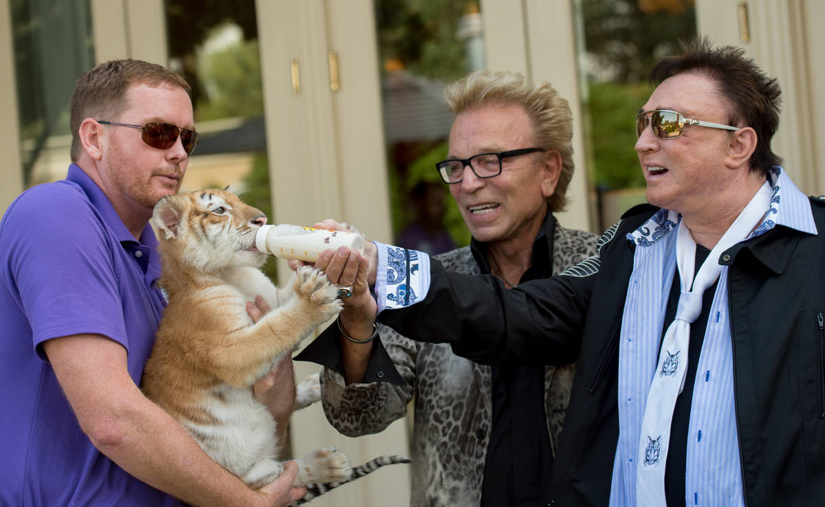Siegfried & Roy make a special appearance in celebration of Siegfried & Roy's SARMOTI Cubs Day ...