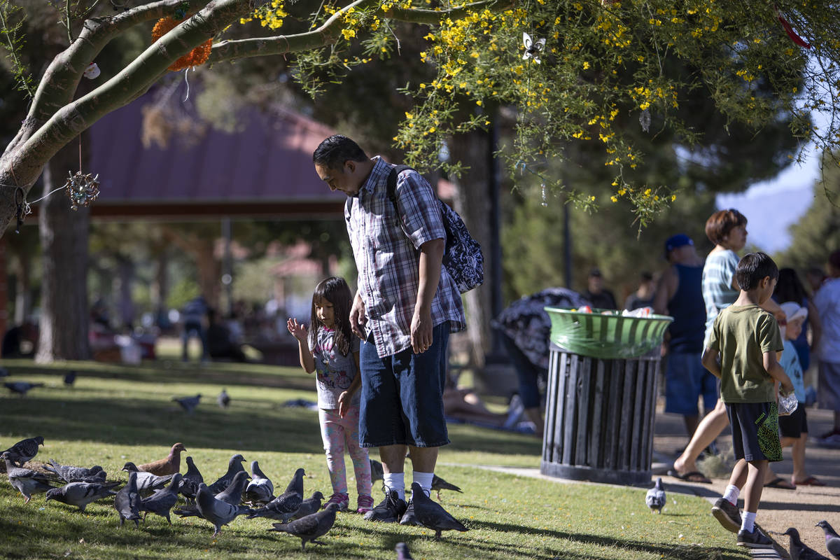 People feed birds at Sunset Park, which was crowded on Memorial Day Weekend, on Saturday, May 2 ...