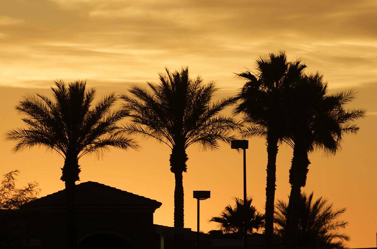 Palm trees are silhouetted as the sun rises on Wednesday, May 27, 2020, in Las Vegas. Temperatu ...