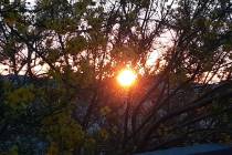 The sun rises about 5:45 a.m. over a south Las Vegas Valley subdivision on Saturday, May 30, 20 ...