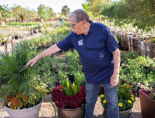 Paul Noe, aka Dr. Q, the resident horticultural expert at Star Nursery, advises novice gardener ...