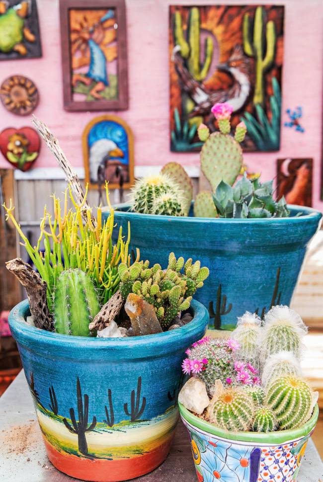 Clustering cacti, agave and other small desert plants combine to create an appealing and low-ma ...