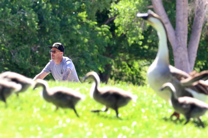 A man rides his bike at Floyd Lamb Park on Tuesday, April 28, 2020, in Las Vegas. Temperatures ...