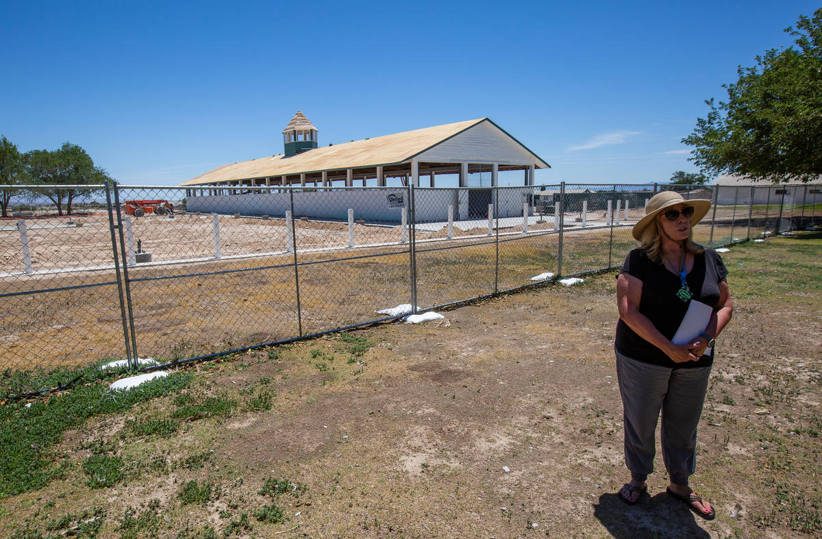 Karen Livingston, leader of the Save Floyd Lamb Park action group, stands in front of the histo ...