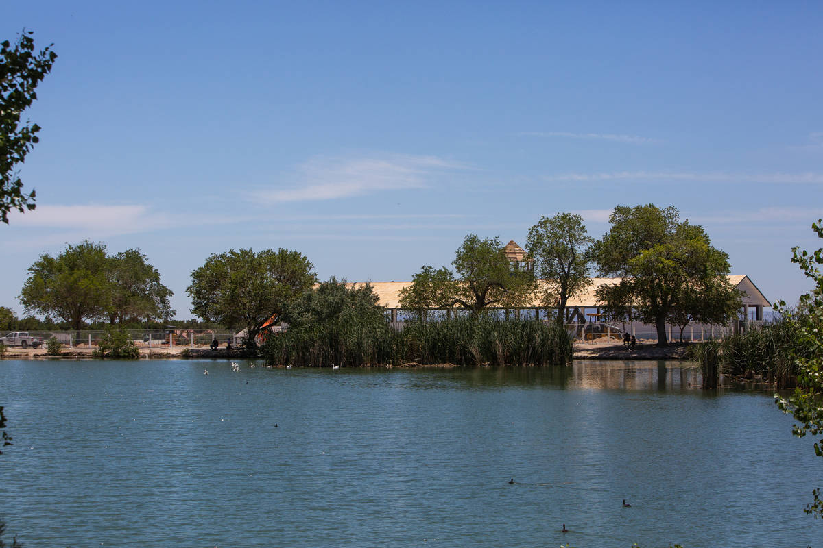 The historic hay barn can be seen on the other side of a lake in Floyd Lamb Park in Las Vegas o ...